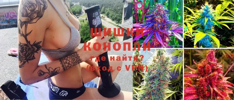 наркотики  mega ТОР  Шишки марихуана план  Билибино 